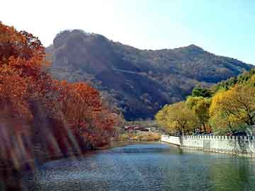 管家婆免费正版资起大全，平陆野猪